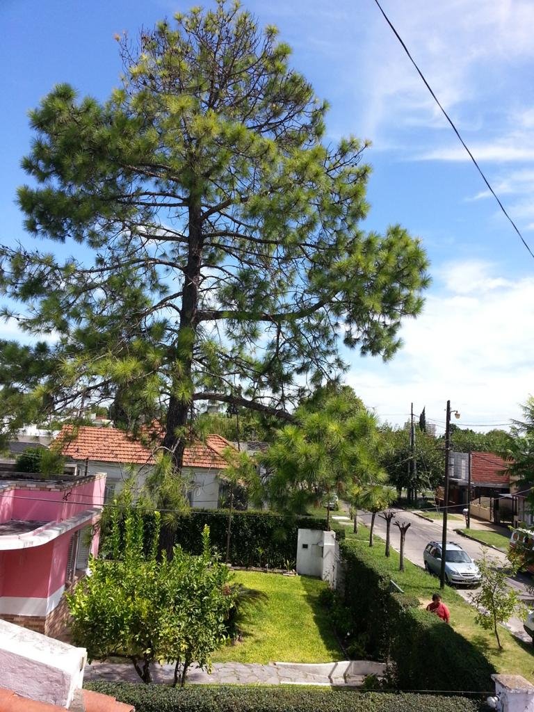 jardin exterior de La Casa de Juanita